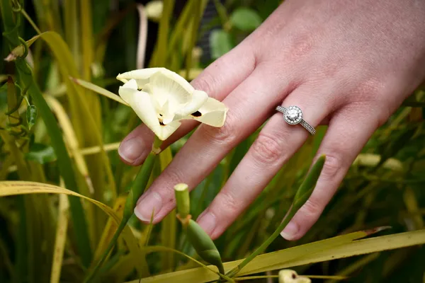 Photo captured by Focal Focus