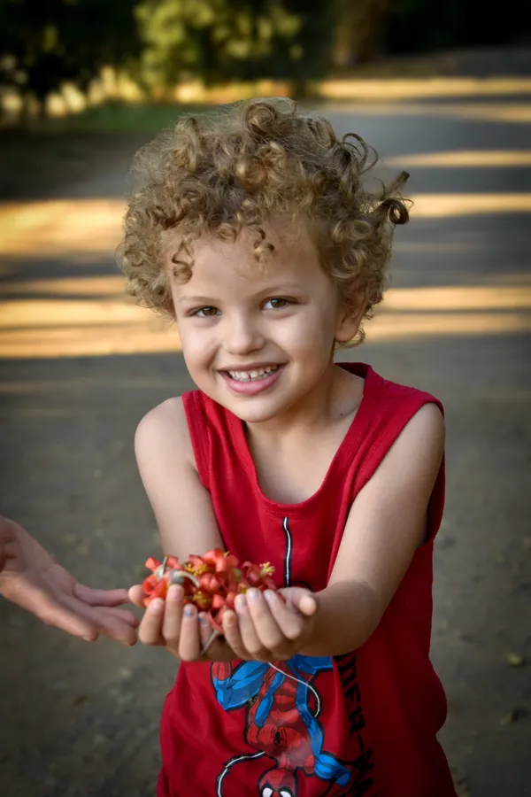 Photo captured by Focal Focus